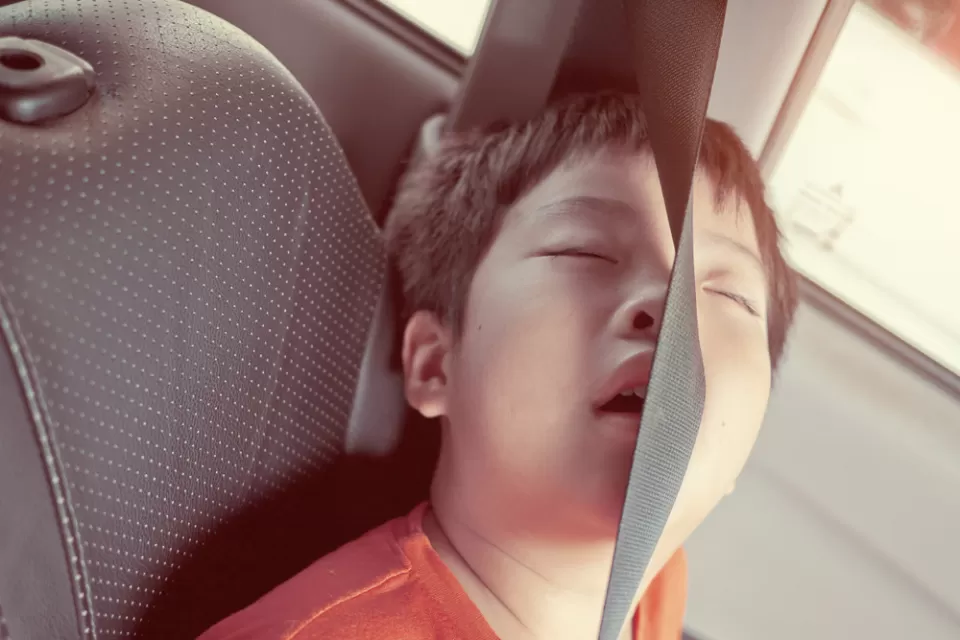 Child in Car